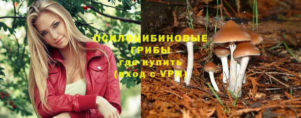 Альфа ПВП Балабаново