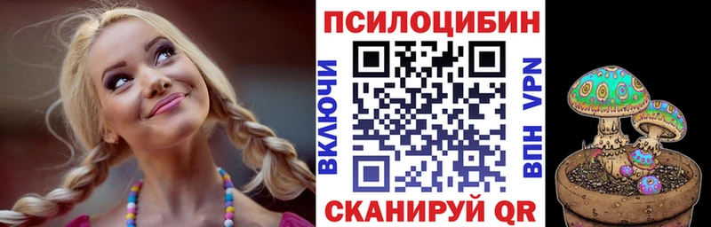 хочу   Северобайкальск  MEGA   дарк нет состав  Галлюциногенные грибы Psilocybine cubensis 